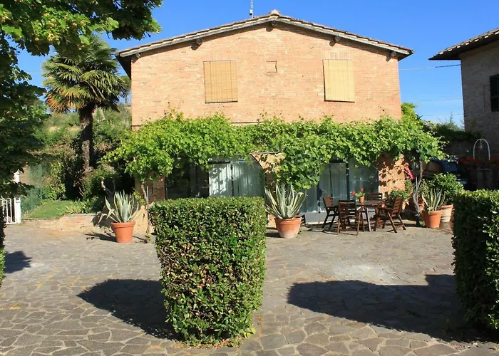 Vignano40